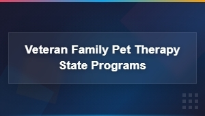 Pet Therapy Programs for Veteran Families