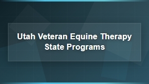Utah's Equine Therapy Programs for Veterans' Mental Health