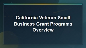 California Veteran Small Business Grant Programs Overview