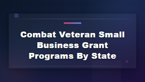 Combat Veteran Small Business Grants by State