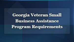 Georgia Veteran Small Business Assistance Program Requirements and Grants