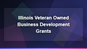 Illinois Veteran Owned Business Development Grants for Small Businesses