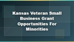 Kansas Grants for Minority Veteran Small Business Owners