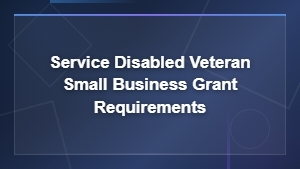 Service Disabled Veteran Small Business Grant Requirements Guide
