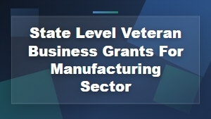 State Level Veteran Business Grants for Manufacturing Sector