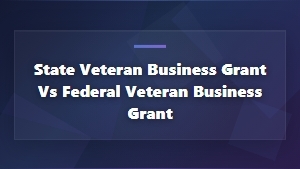 State vs Federal Veteran Business Grants: Key Differences Explained
