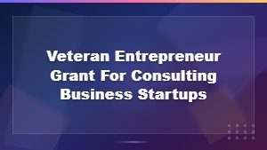 Veteran Entrepreneur Grants for Consulting Business Startups | Small Business Funding