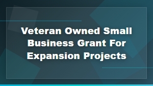 Veteran Owned Small Business Grants for Expansion Projects | Funding Options