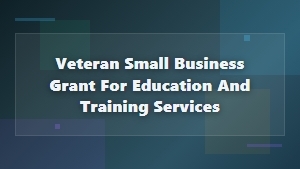 Veteran Small Business Grants for Training Services