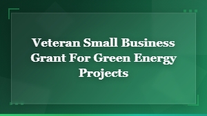 Veteran Small Business Grants for Green Energy Projects | Funding Opportunities