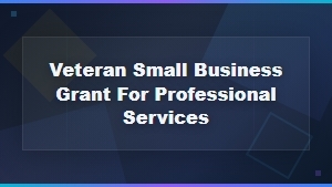 Veteran Small Business Grants for Professional Services Providers