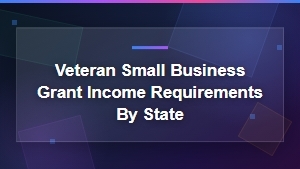 Veteran Small Business Grant Income Requirements by State