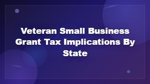 Understanding Veteran Small Business Grant Taxes by State